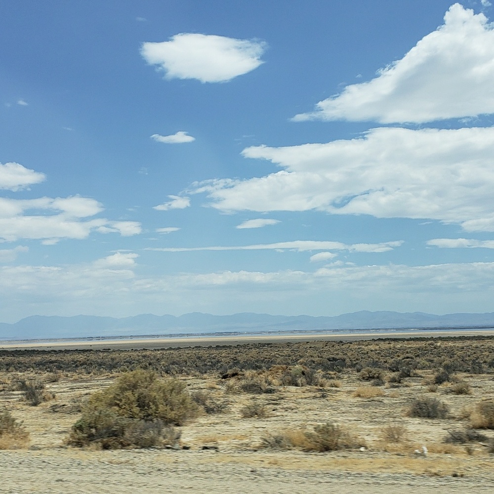 Meet your Posher, Dustin